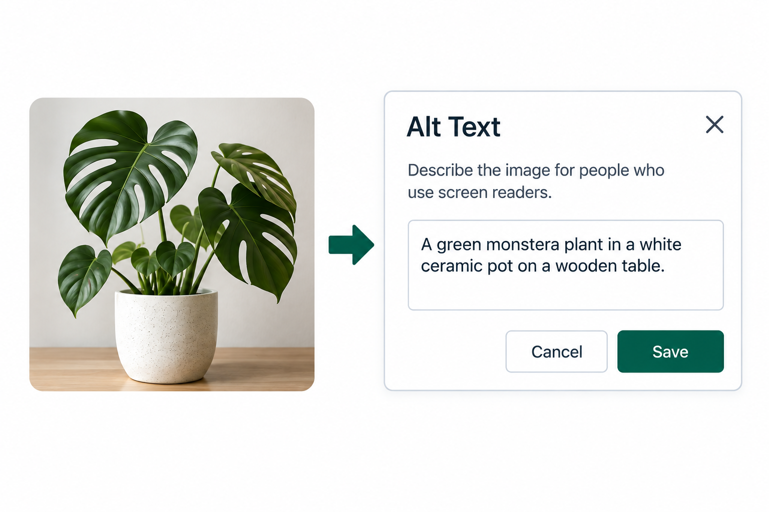 Example of alternative text using a plant and how to leverage that format