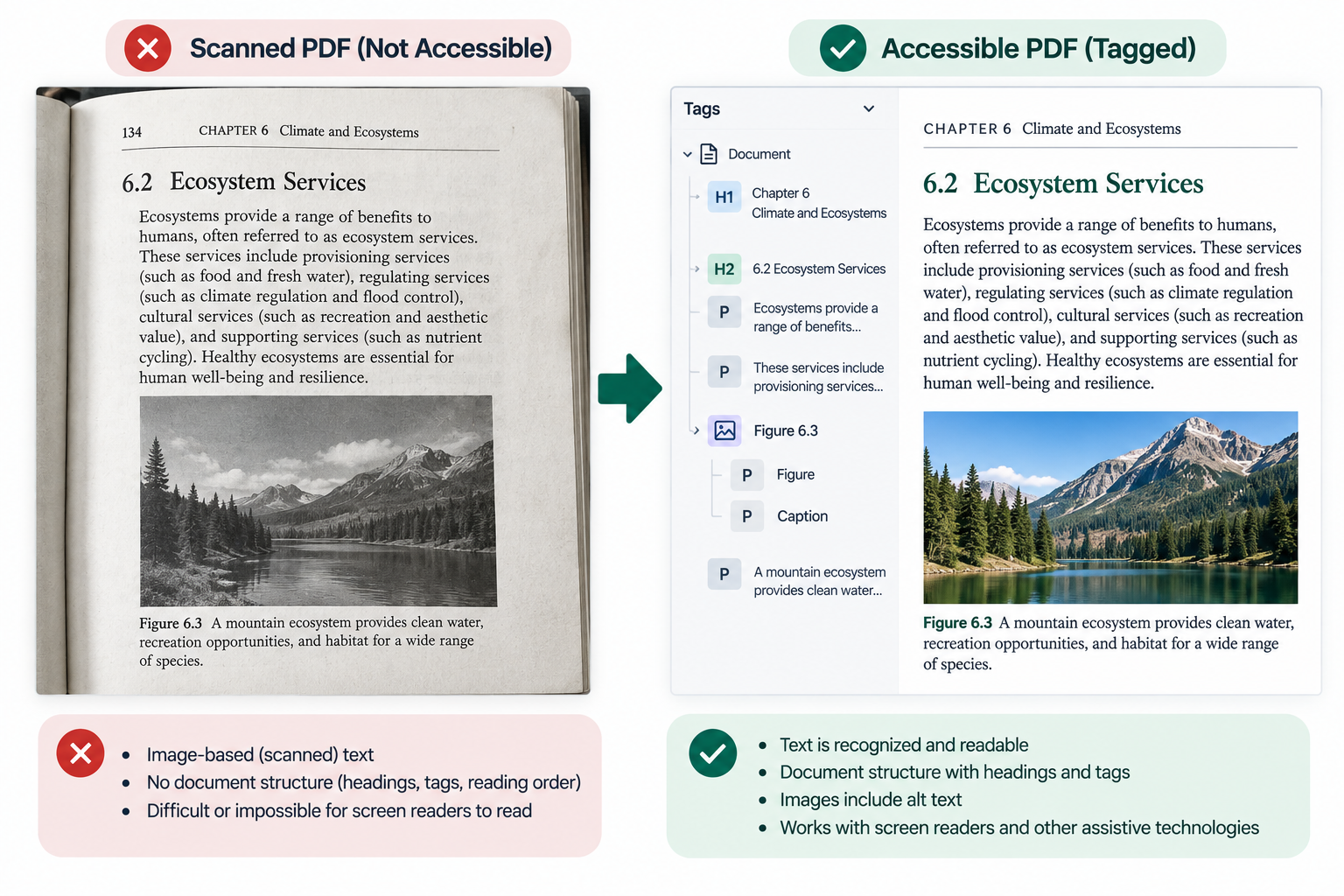 Comparison of a scanned textbook page and an accessible tagged PDF. The accessible version contains recognized text, heading structure, reading order, and image information for assistive technologies.